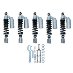 Set HCS shock absorber...